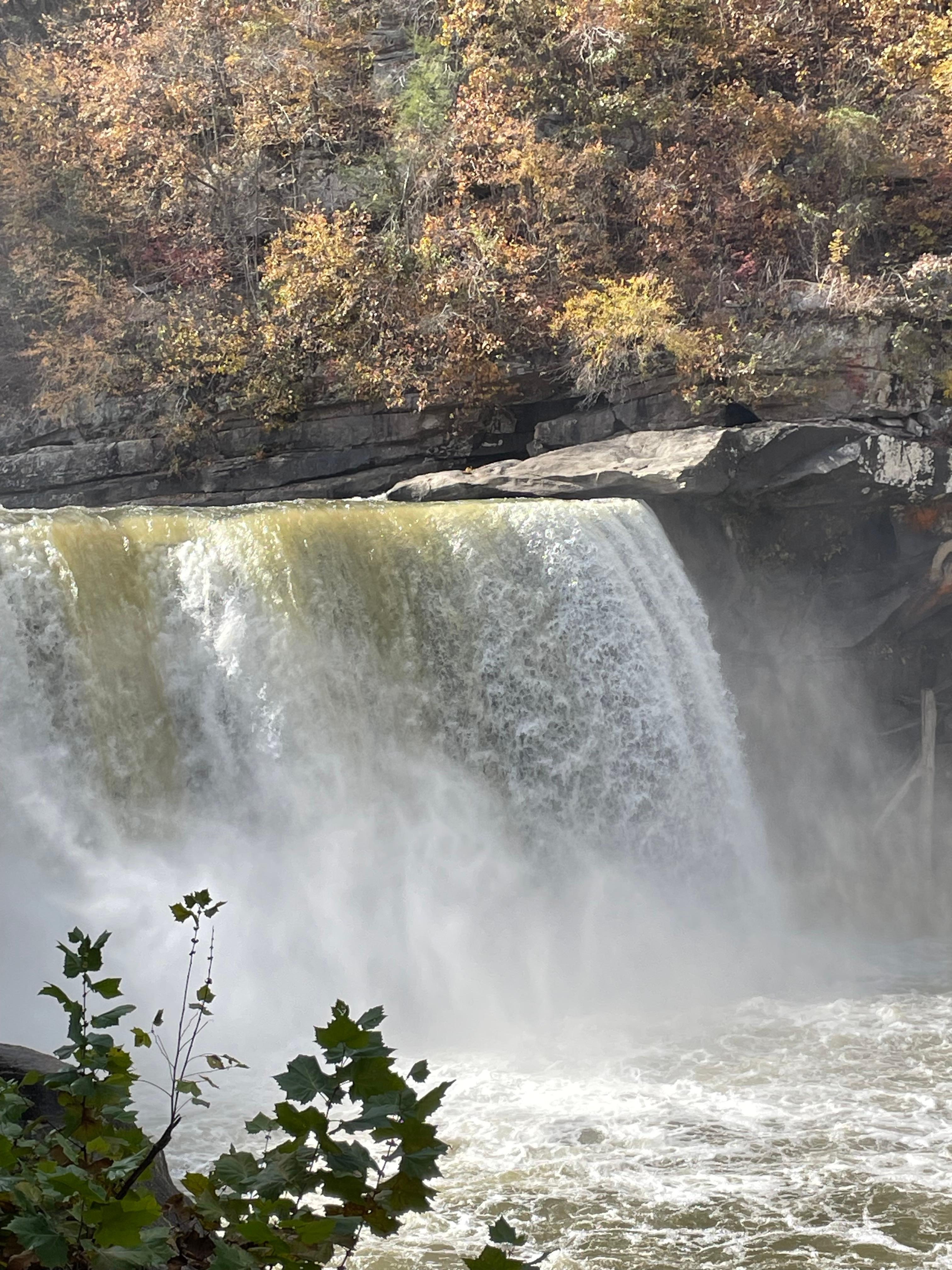 Cumberland falls. 