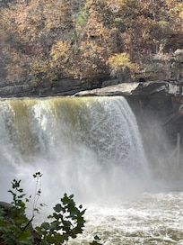 Cumberland falls.