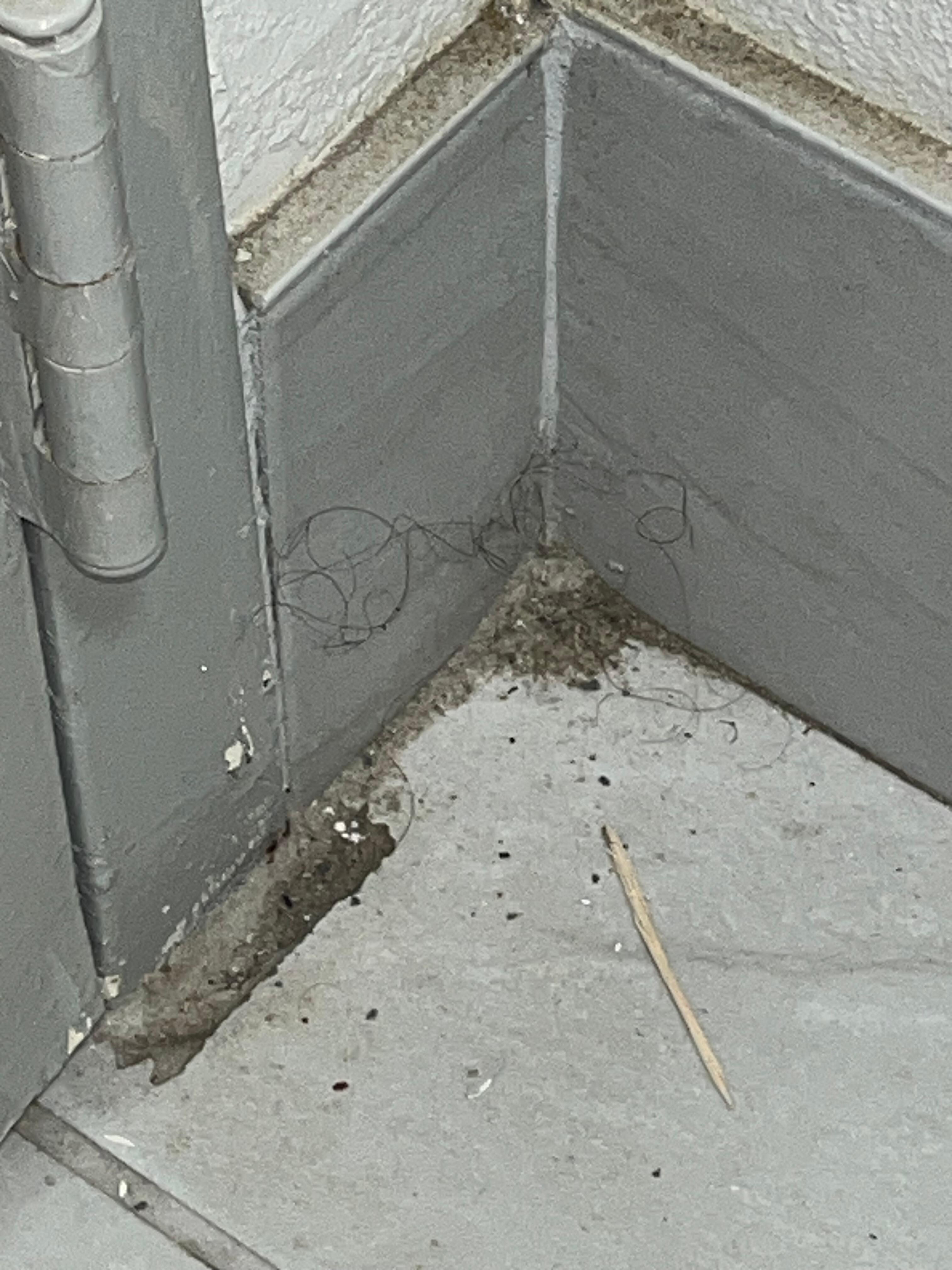 The corner of the bathroom. 