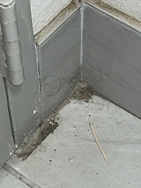 The corner of the bathroom.