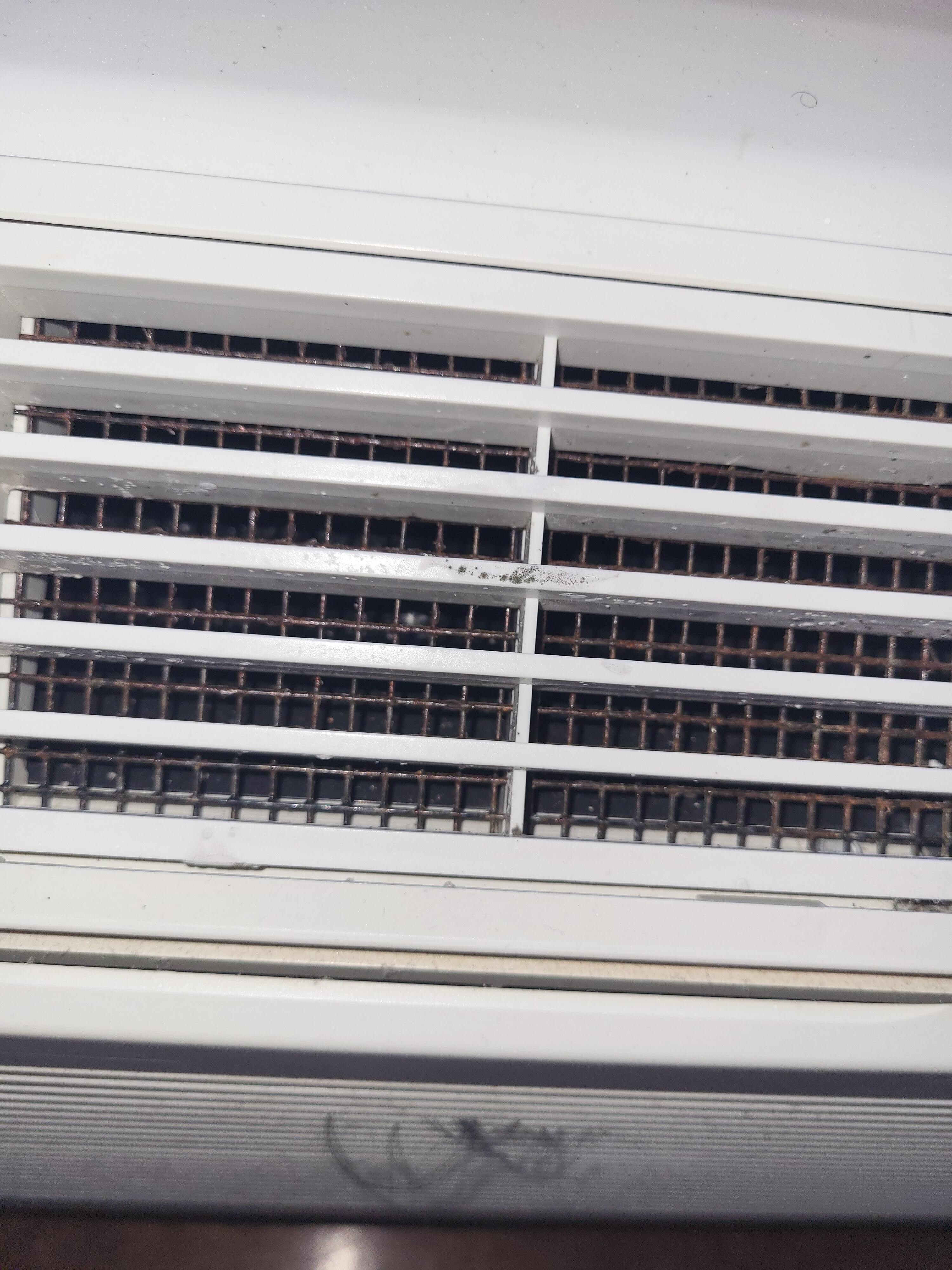 Mold in the AC unit