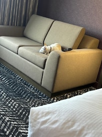 We had to bring our dog to Kstate veterinary. This was a great hotel for accommodating that. Thank you for making an anxiety producing trip more tolerable. The check in cookies were a nice touch and delicious !