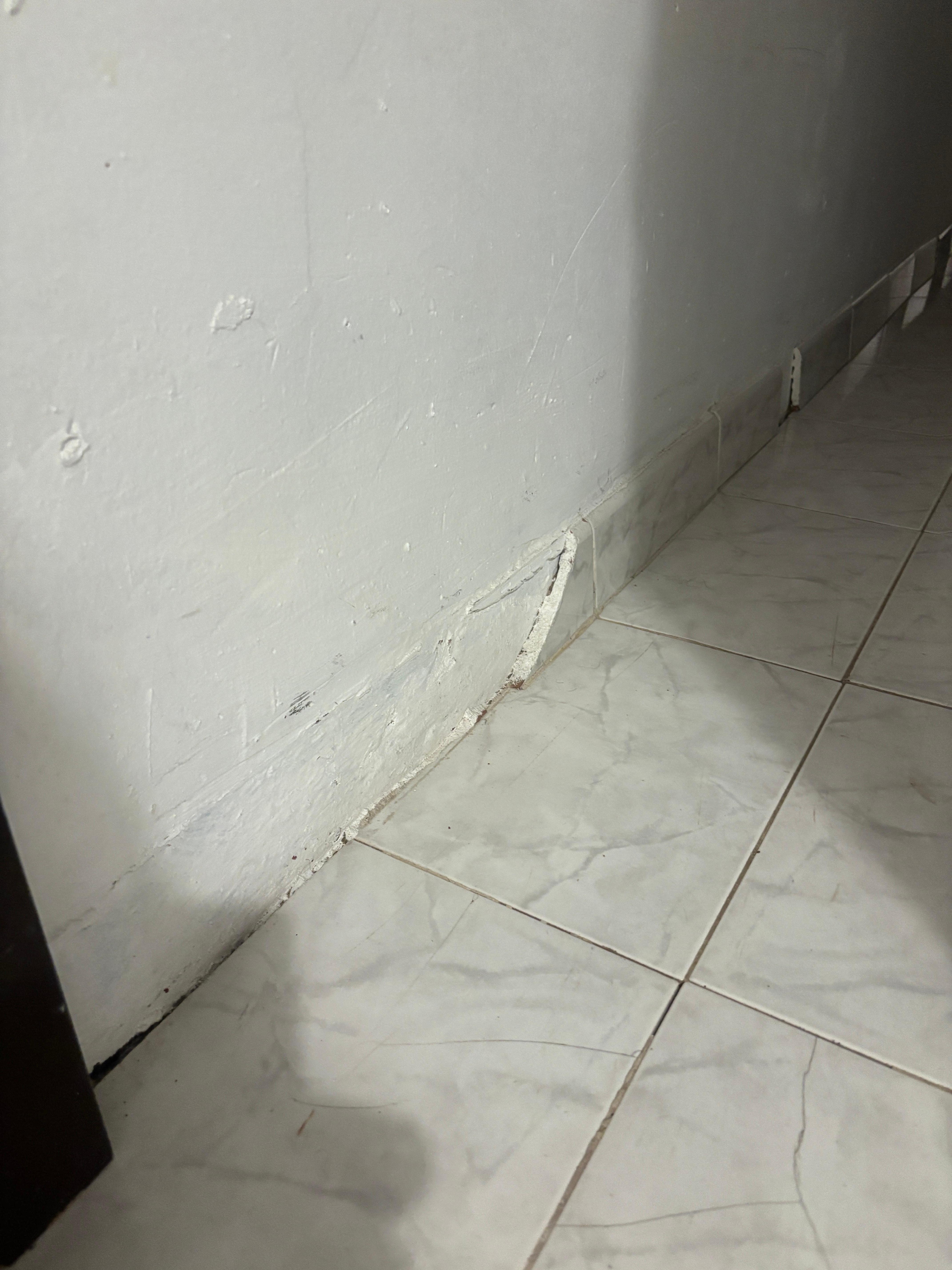 Lots of repairs needed.