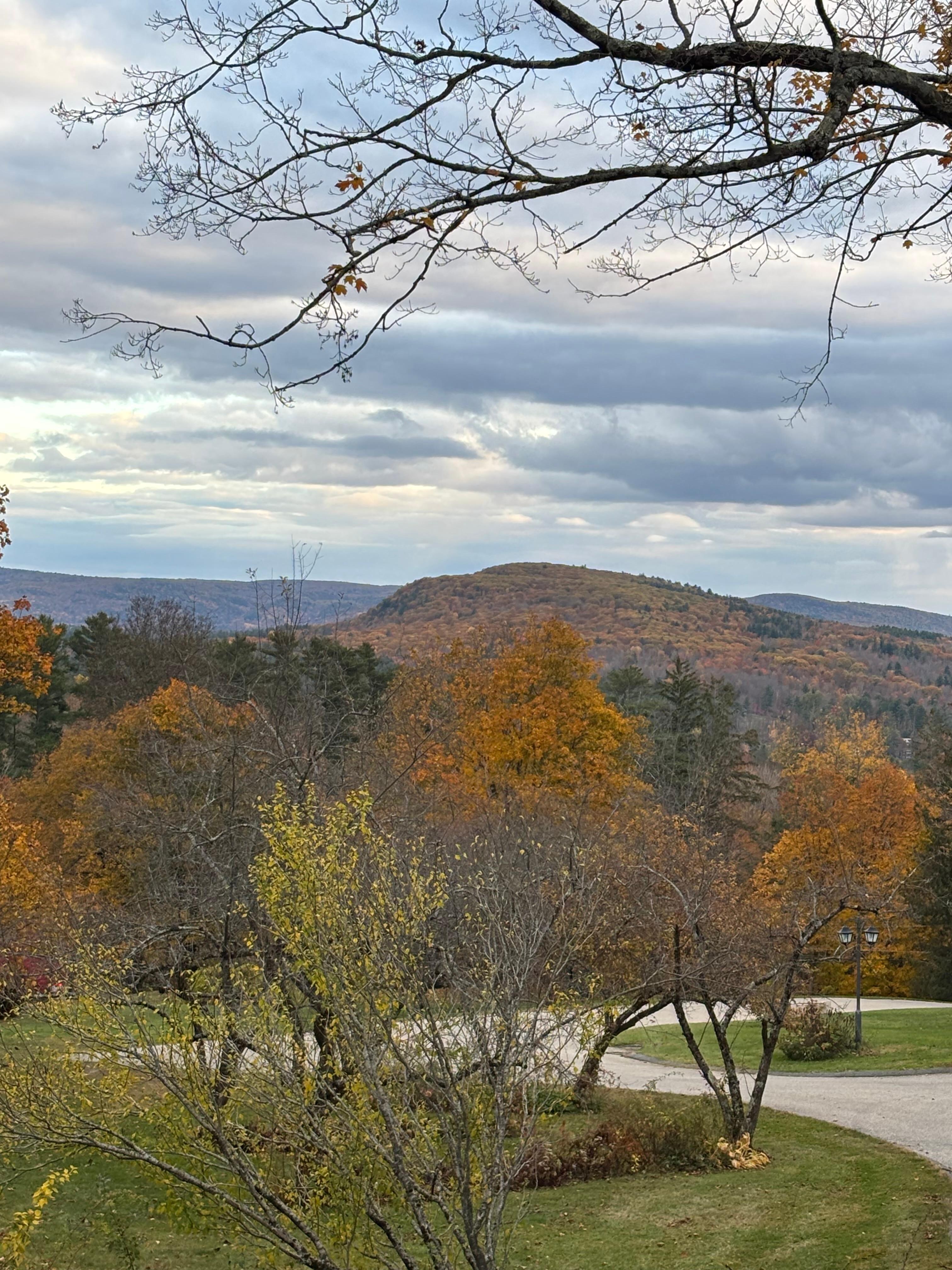 View from my room in the lodge 