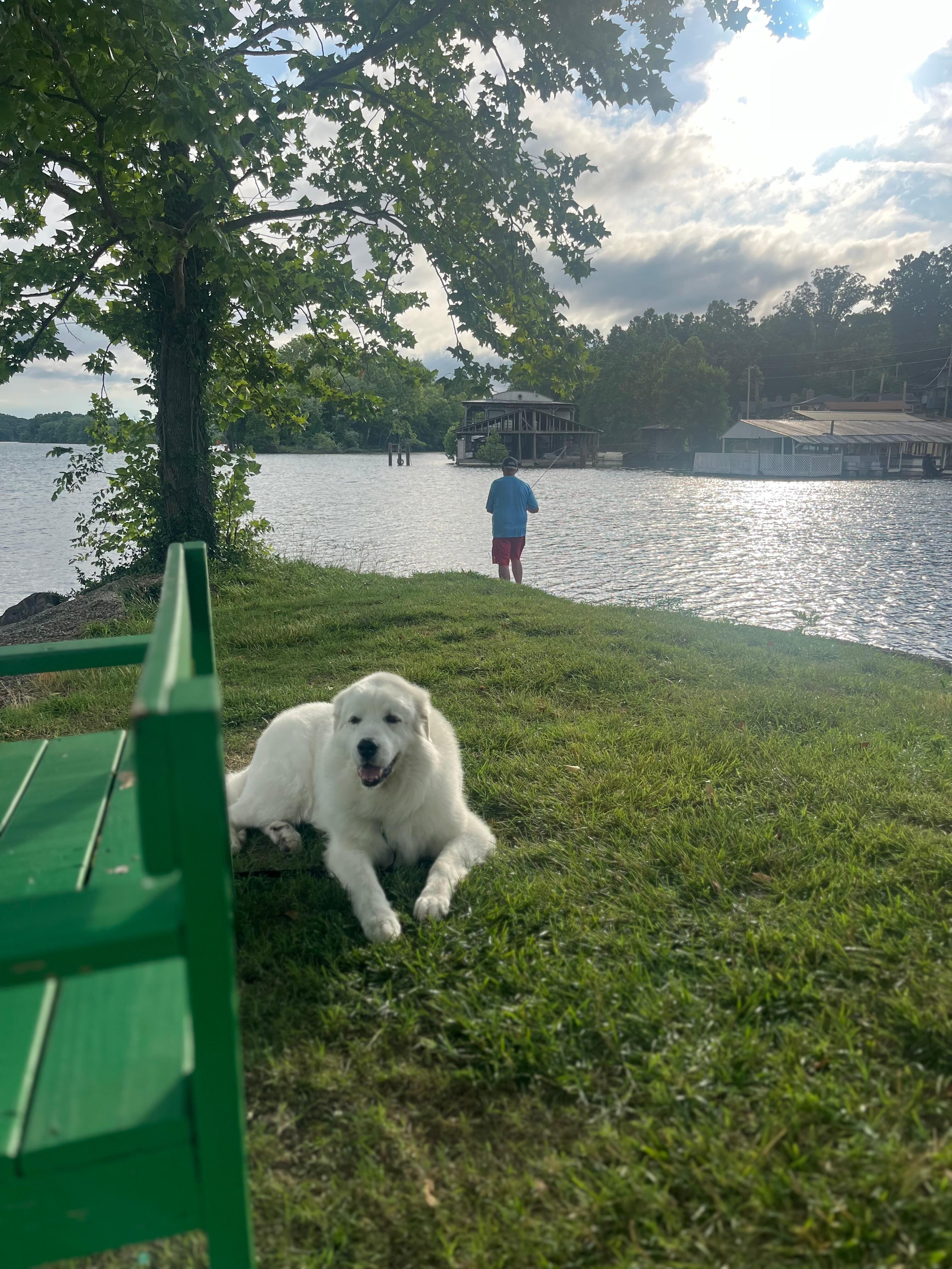Our fishing supervisor. (We did not meet his expectations) 🤦🏻‍♀️