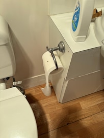 Cockroach on the toilet paper