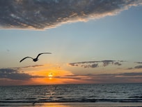 Best sunsets are just a block away.