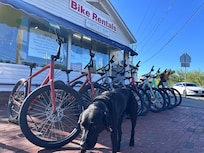 Cool local spots nearby