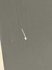 i’m not even going to try to guess