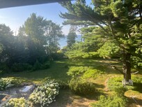 The beautiful backyard