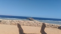 Coral beach