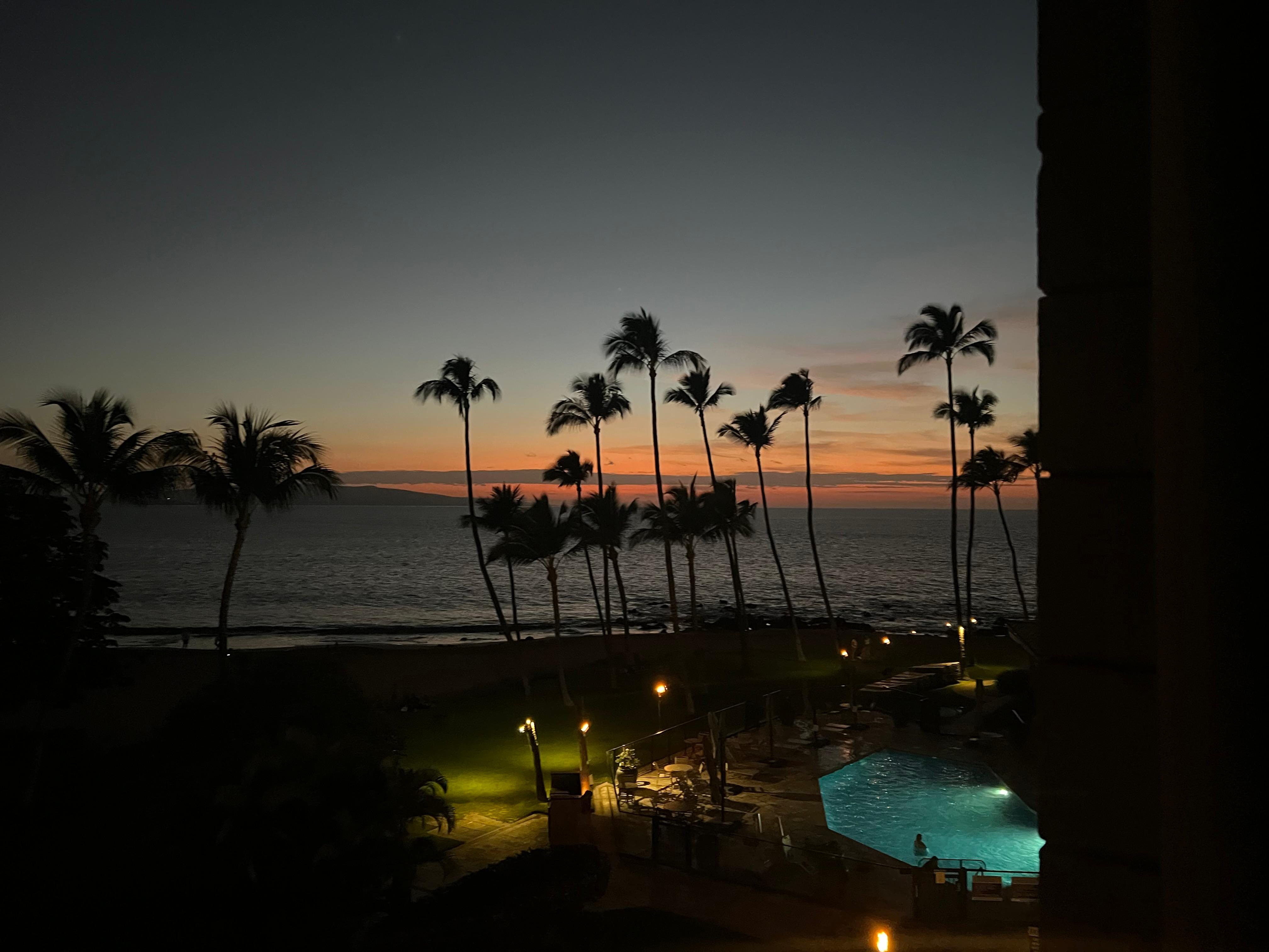 View from Lanai