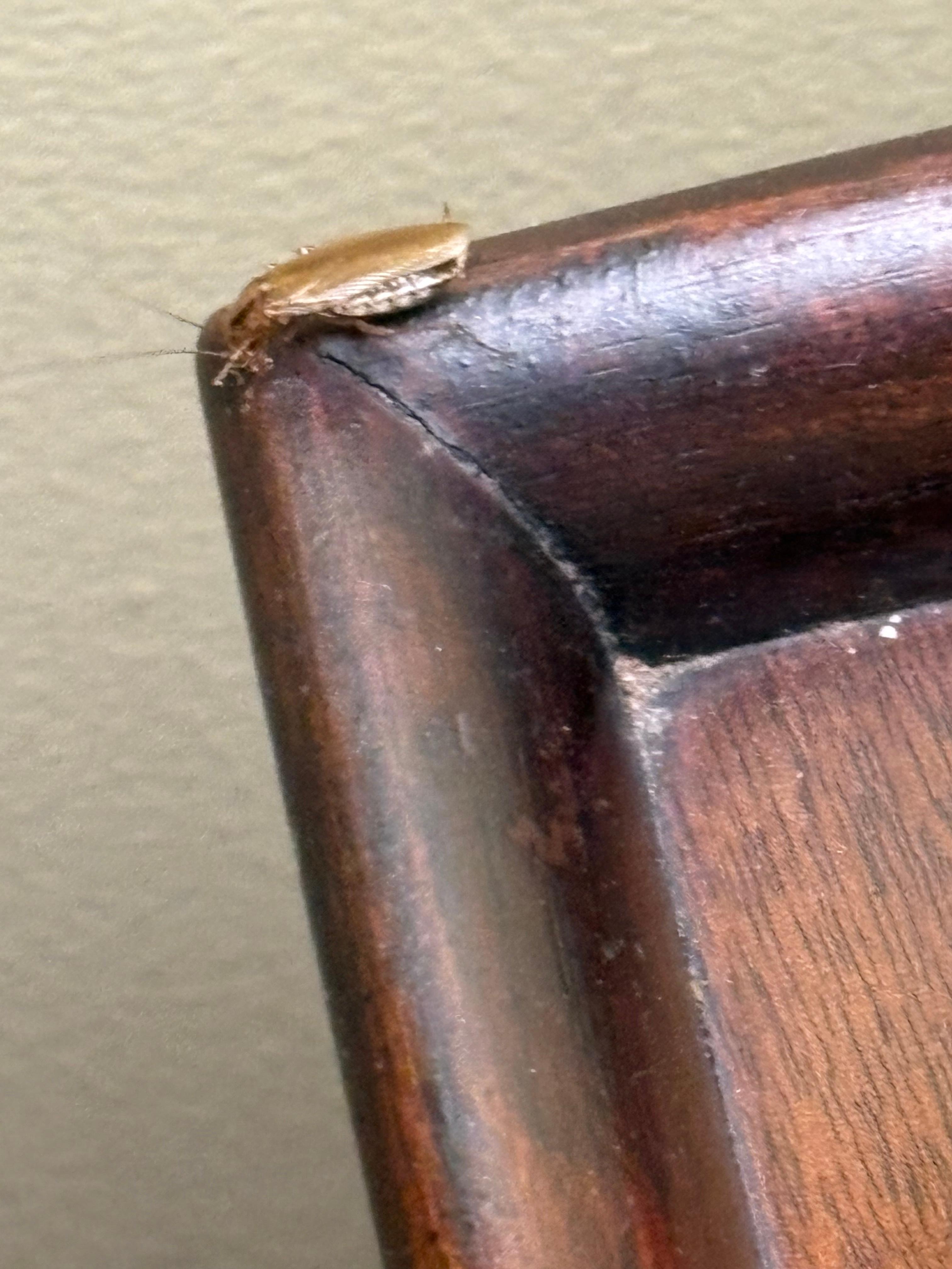 My roommate for the evening