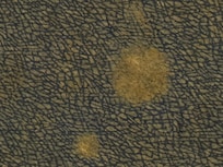 Moquette
