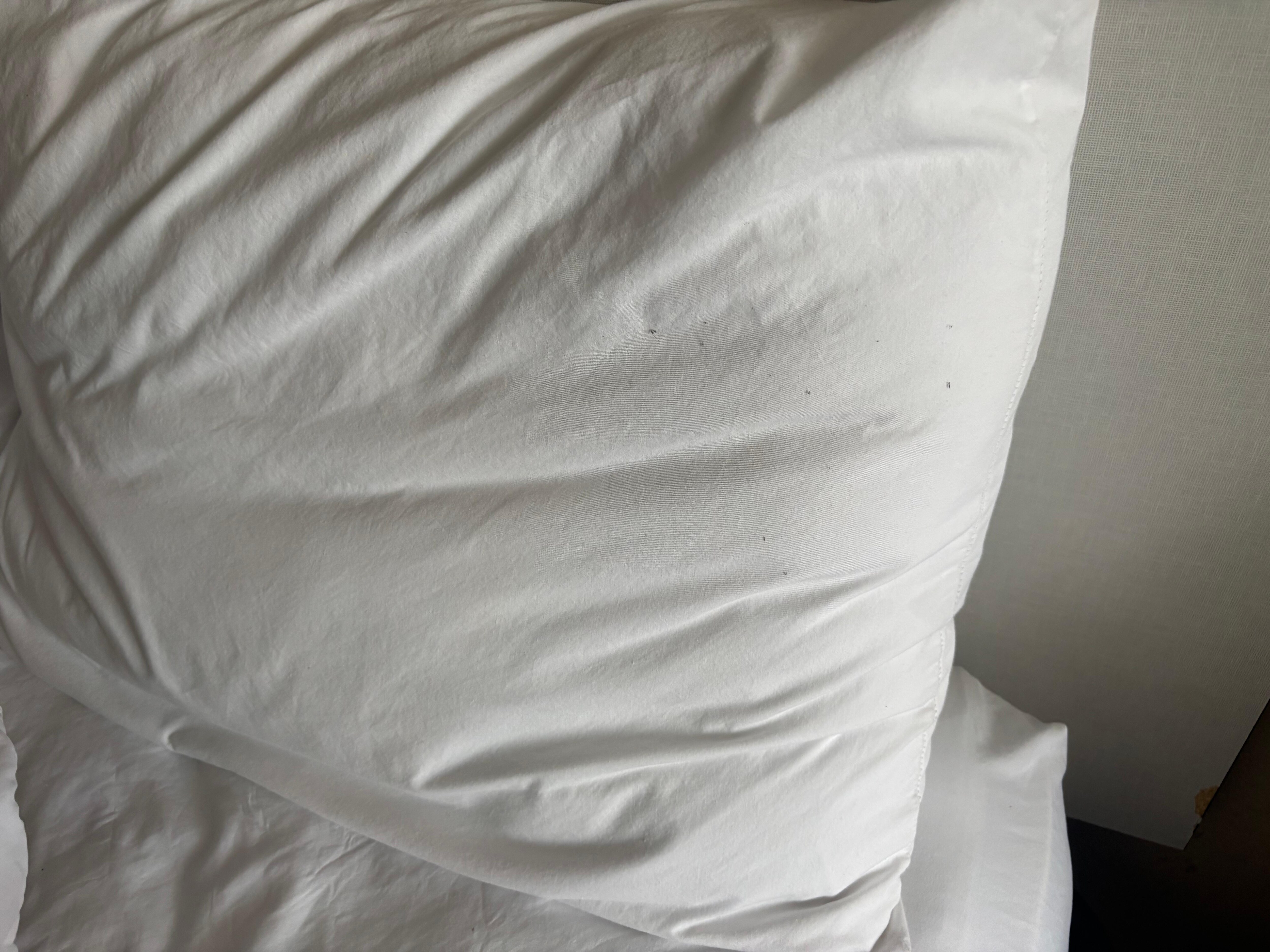 Hair on the pillow