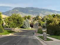 Looking down hill in front of the house