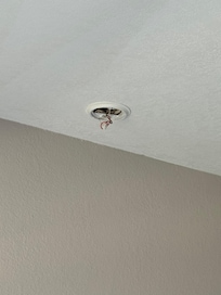 No smoke detector