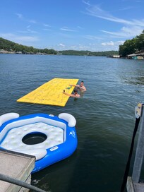 Love the Lilly pad