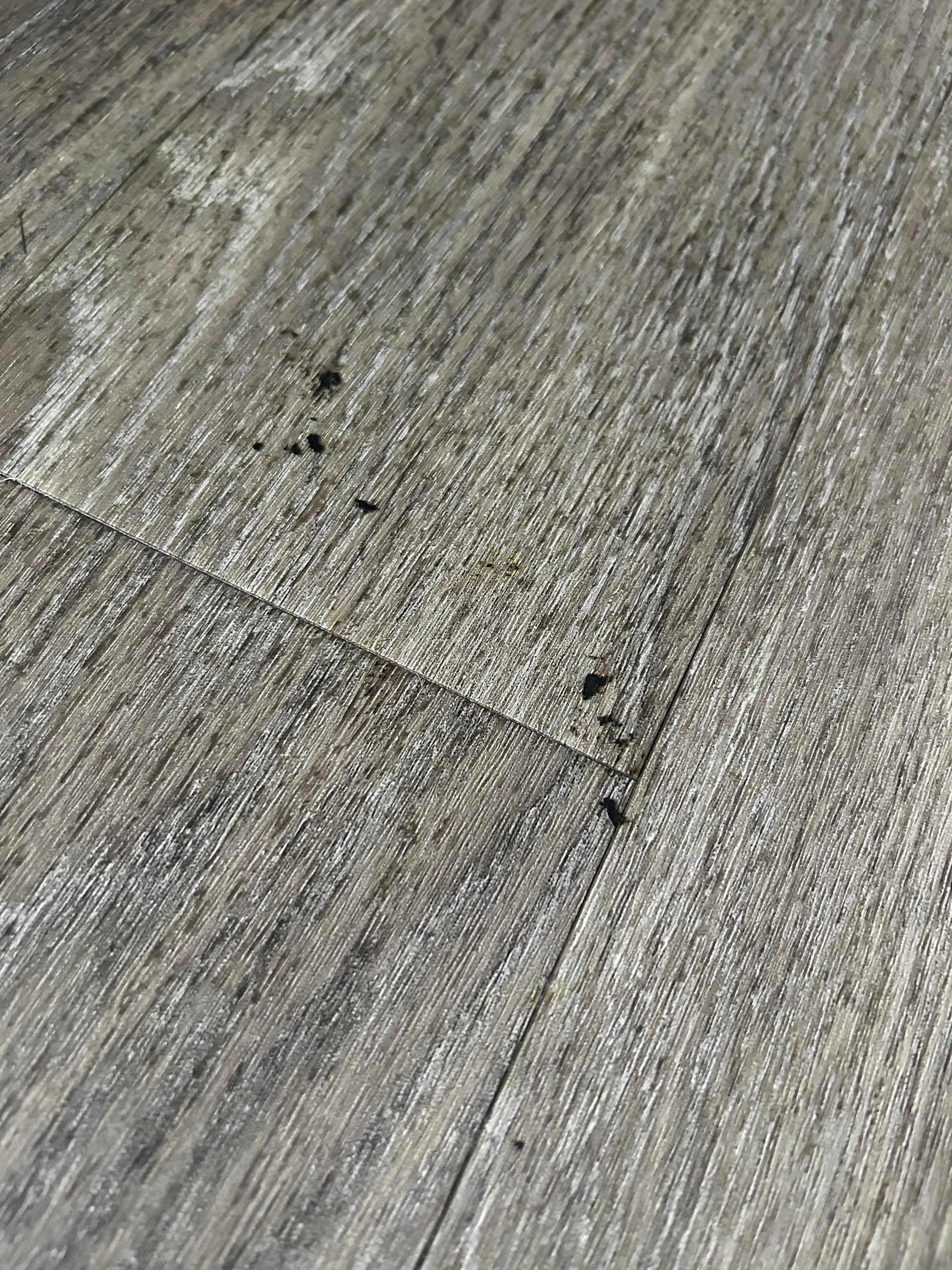 Gross stuff on the floor