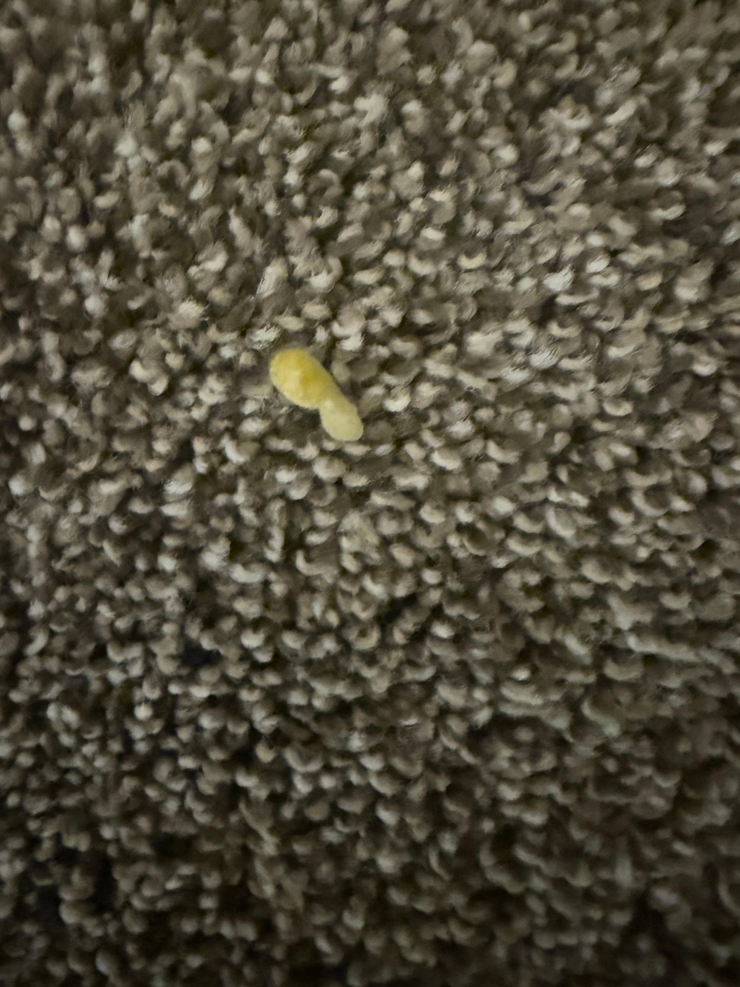 Additional picture of debris on the floor. 