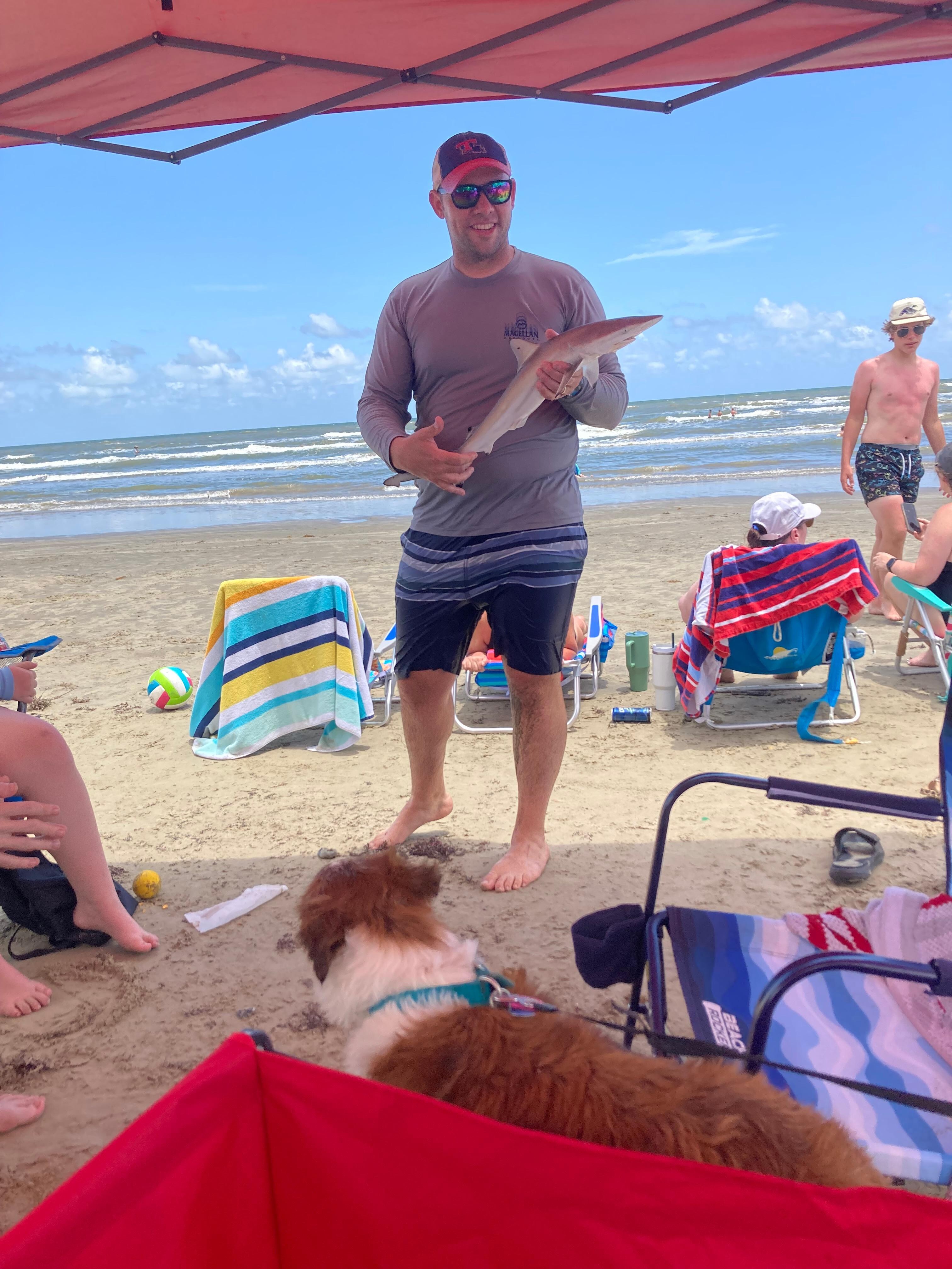Baby shark
