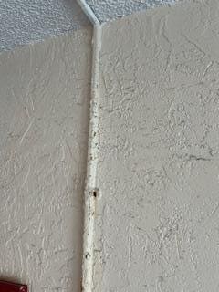 DUST AND DEBRIS ALL OVER THE WALLS