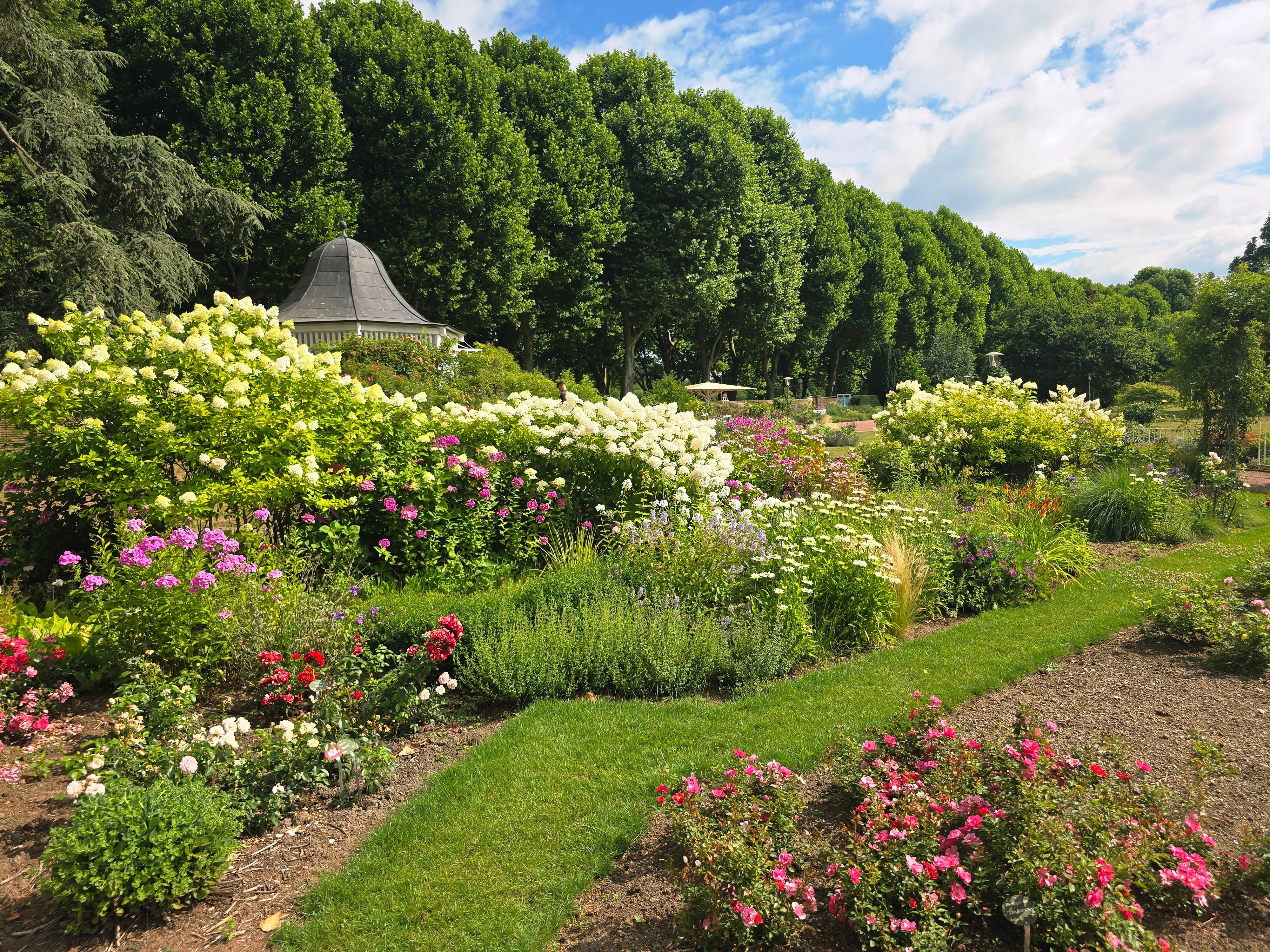 Rosengarten Zweibrücken 