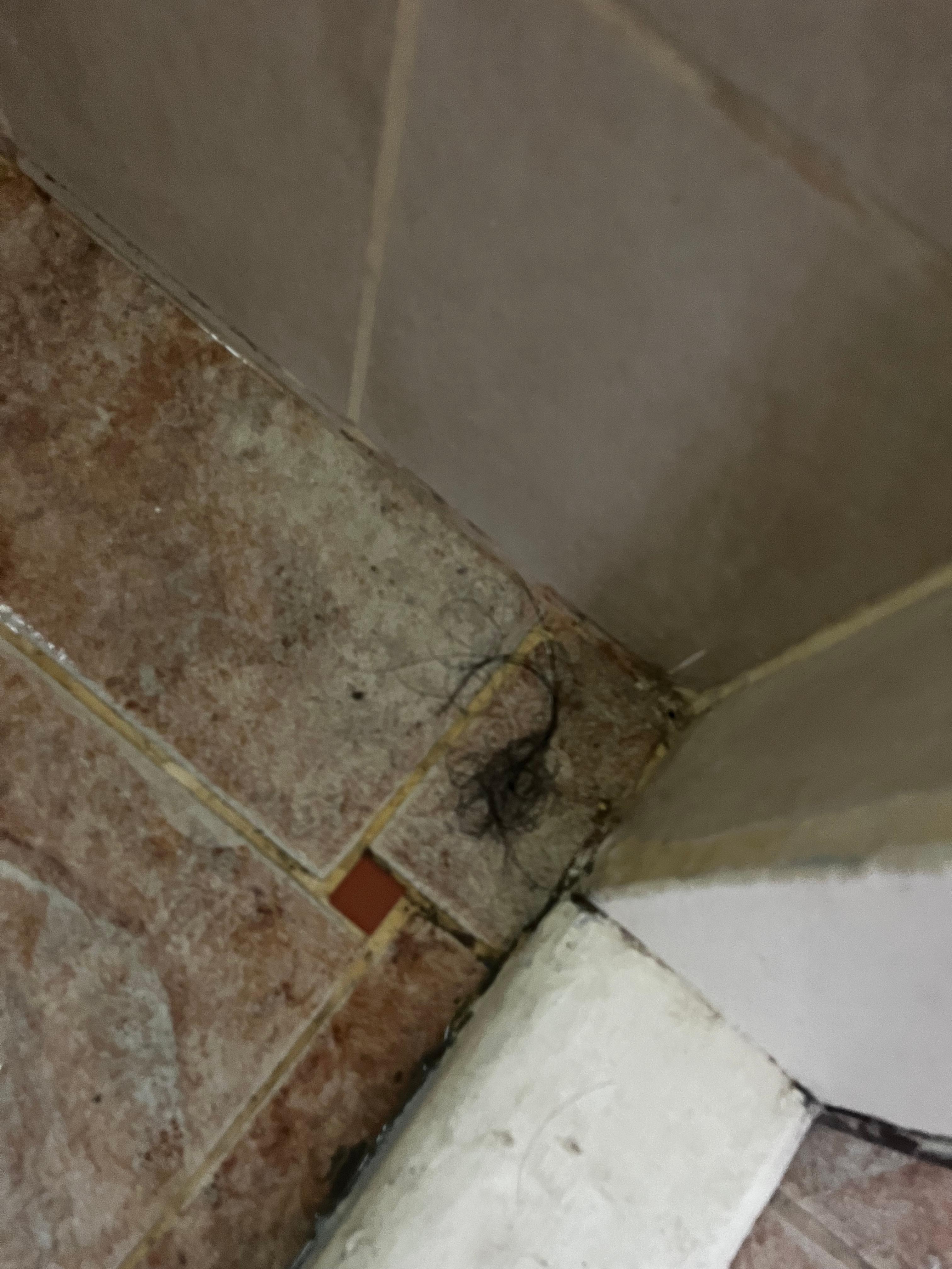 After daily cleaning.