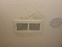 Same black "mold" visible around the vent