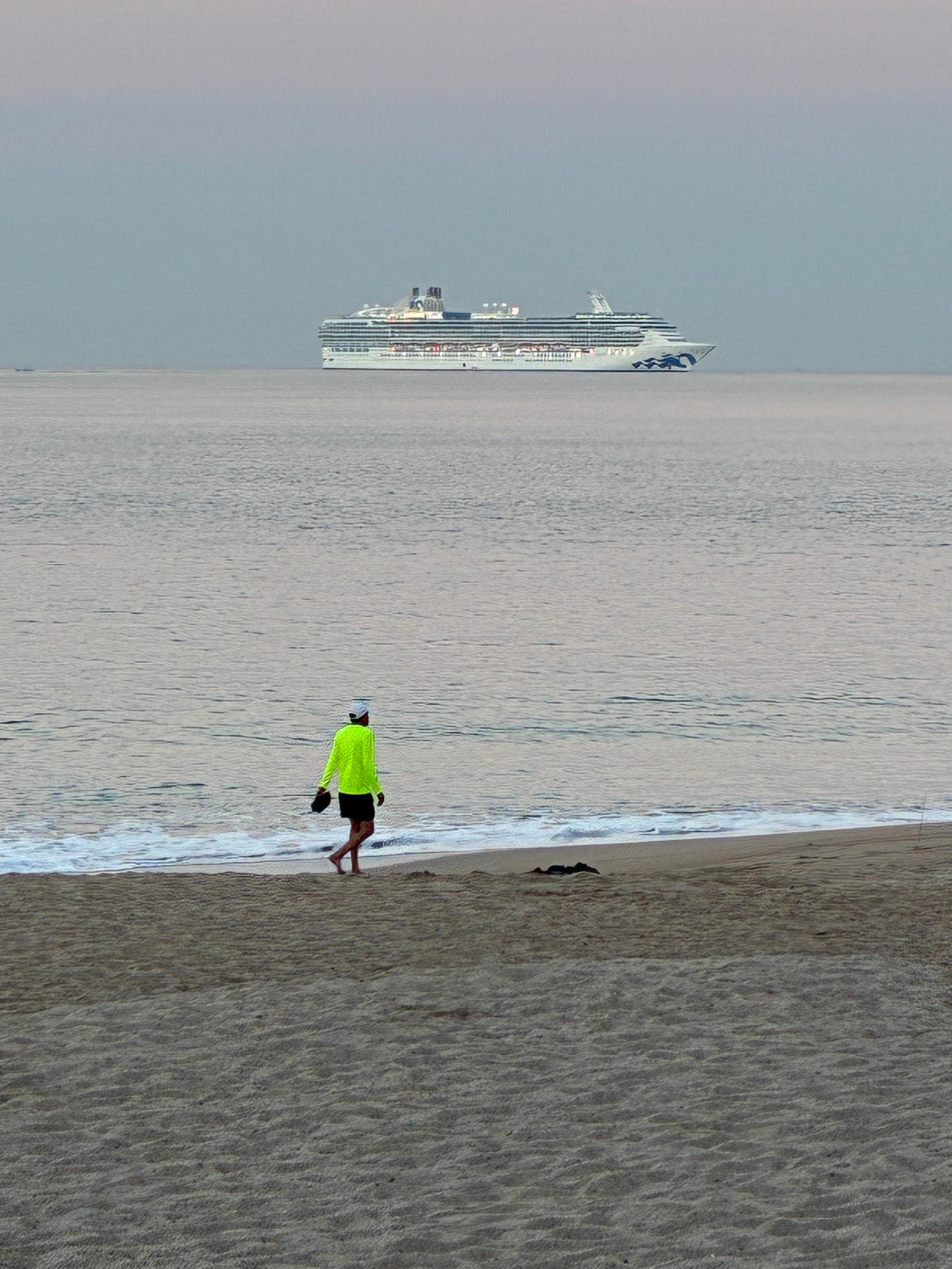 View of the cruise ship coming in