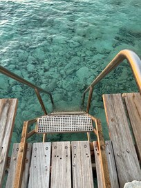 This ladder off the north side of the pier made diving very easy.