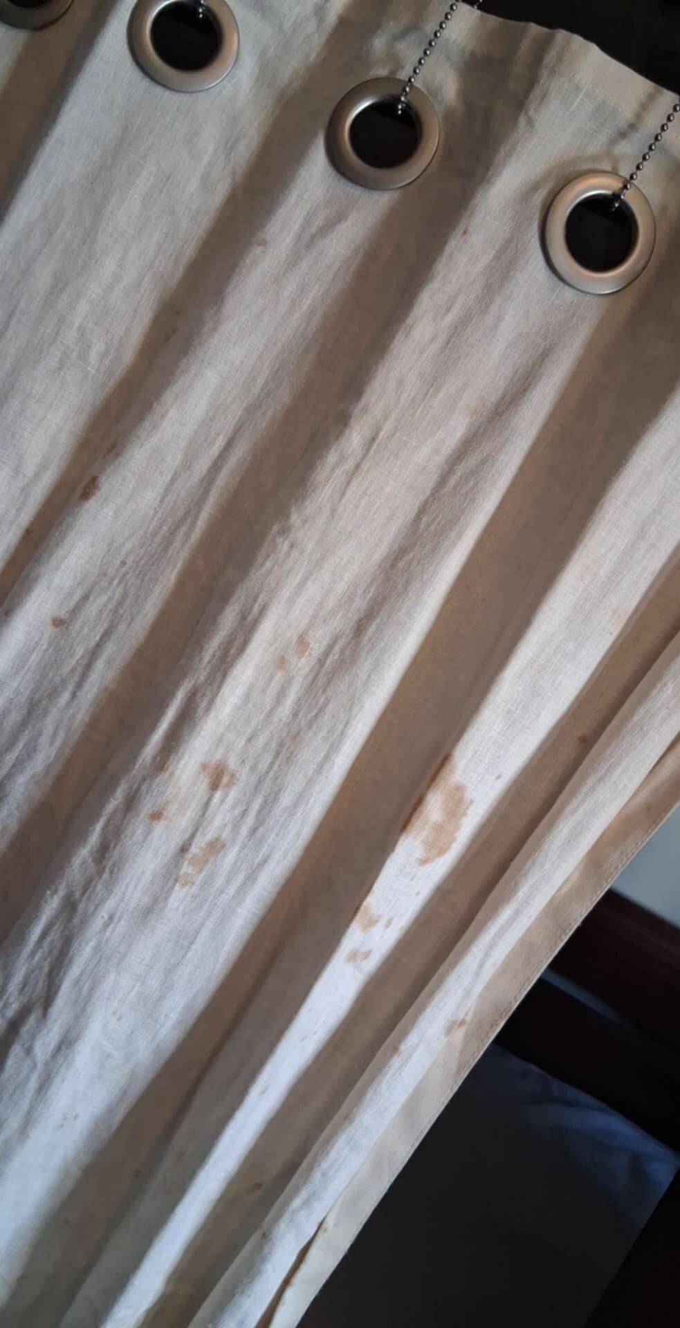 dirty shower curtain 