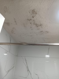 Mold/ mildew in bath no light switch to turn off light