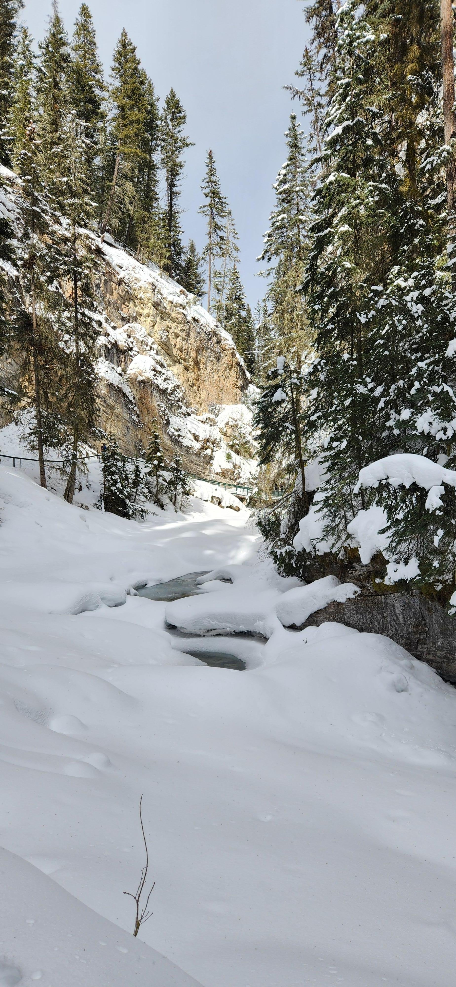Johnston Canyon