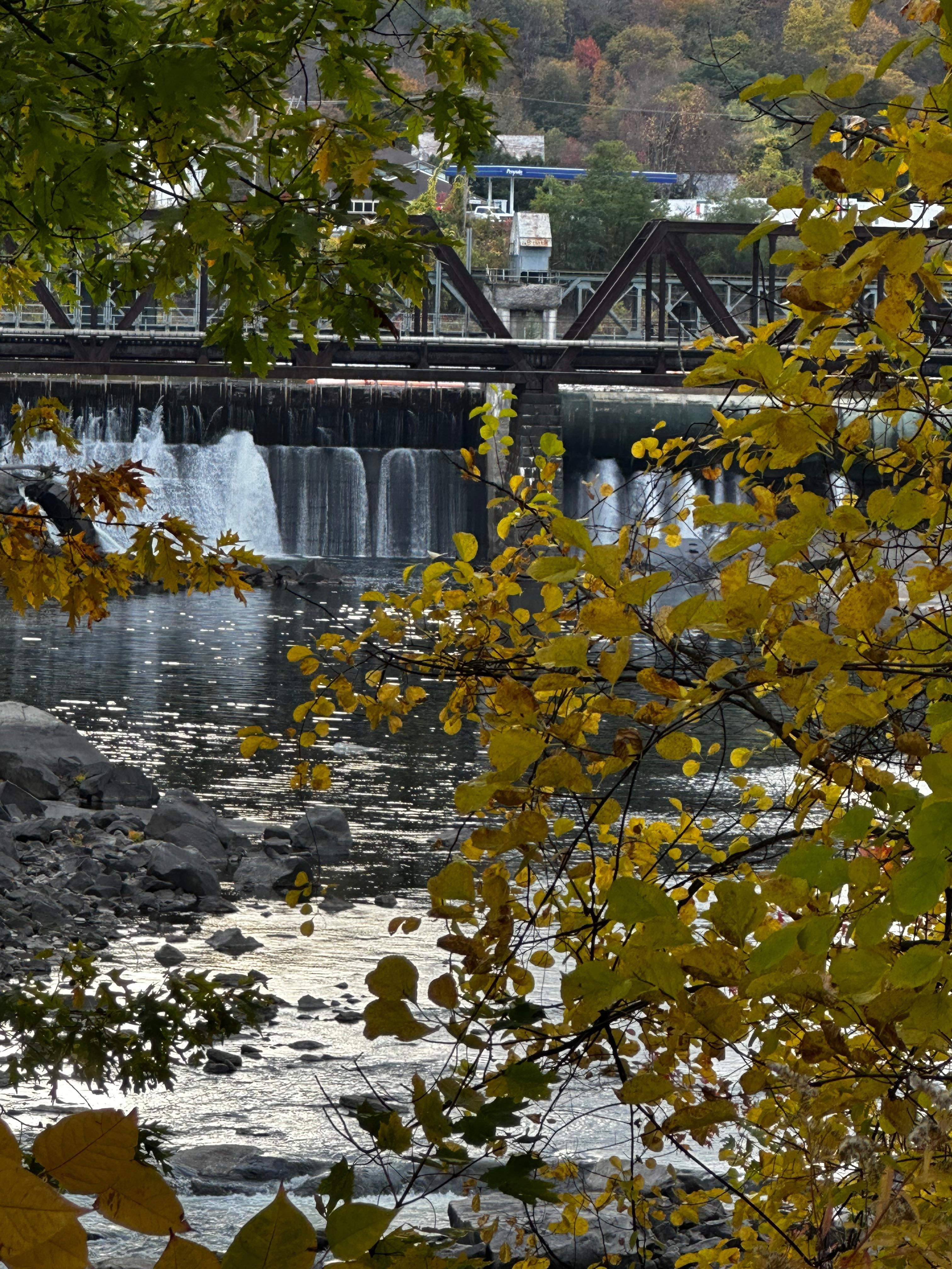 The view from across the road