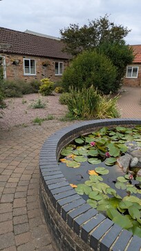 The courtyard
