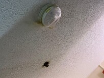 There was a bag tied around the fire alarm and we couldn’t get it off. If they really cleaned the place that would not be there.