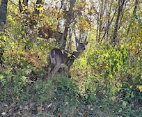 Saw this on the way to the house!