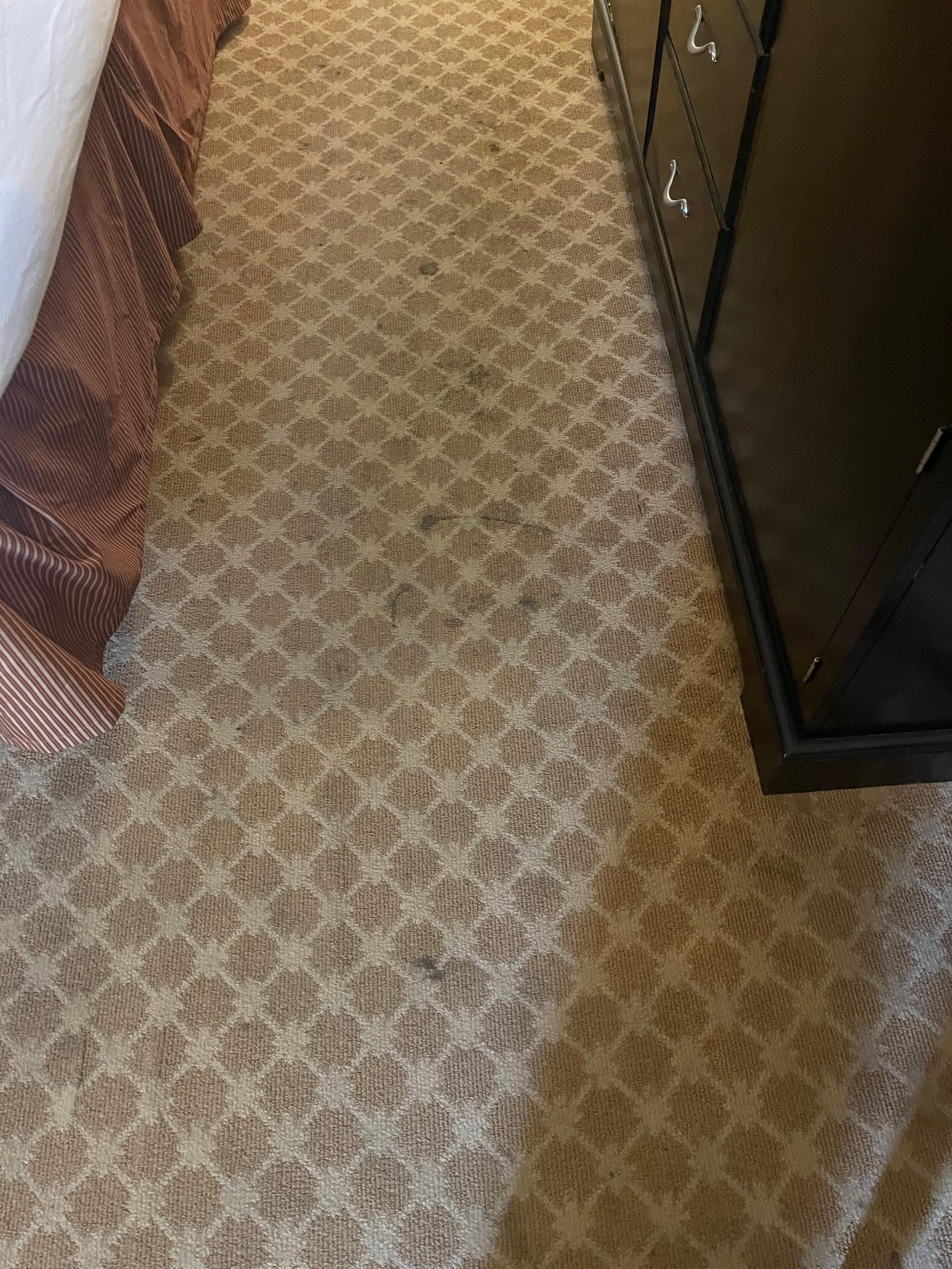 Spots all over carpet