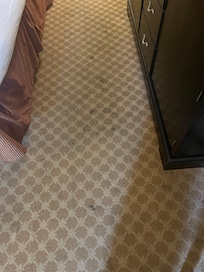 Spots all over carpet