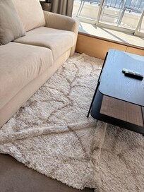 Living Room Rug when we arrived