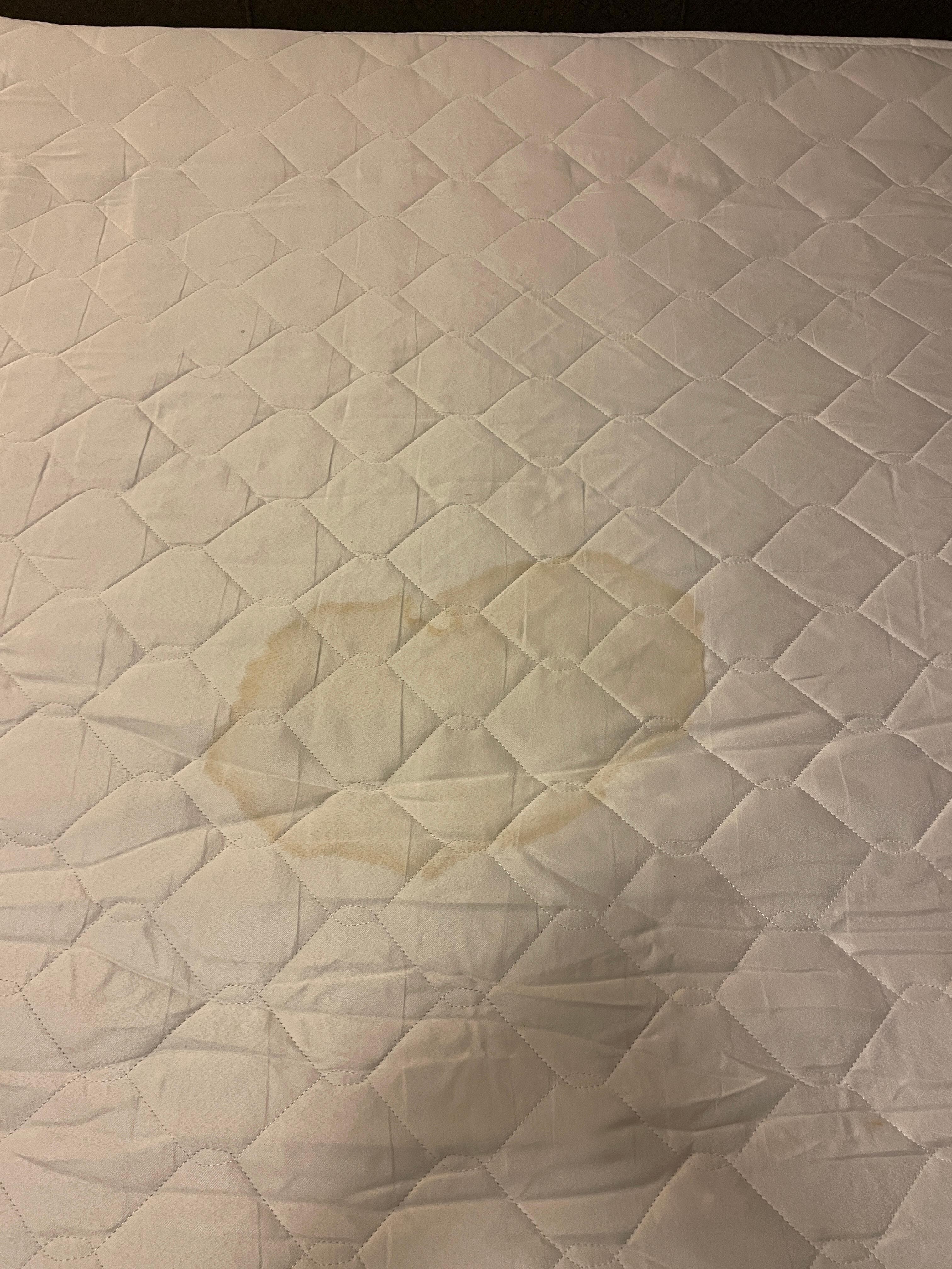 Stained pull out bed mattress