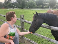 Feeding the Rehab Horses Carrots.