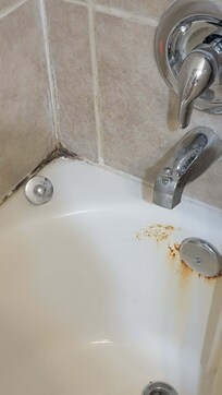 Looks like black mold around the tube along with a lot of rust.