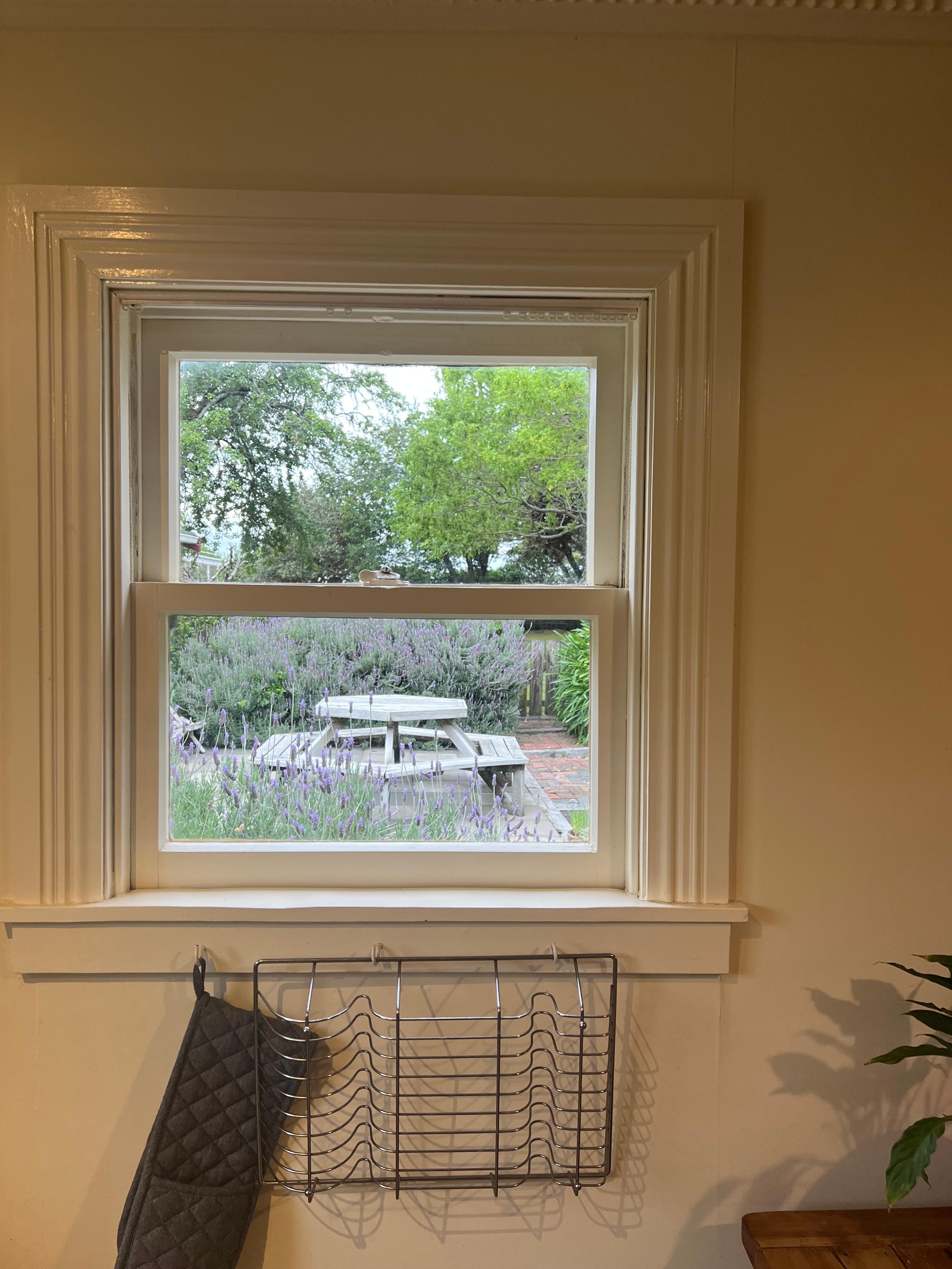 View from kitchen window.