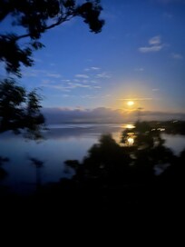 View from house deck