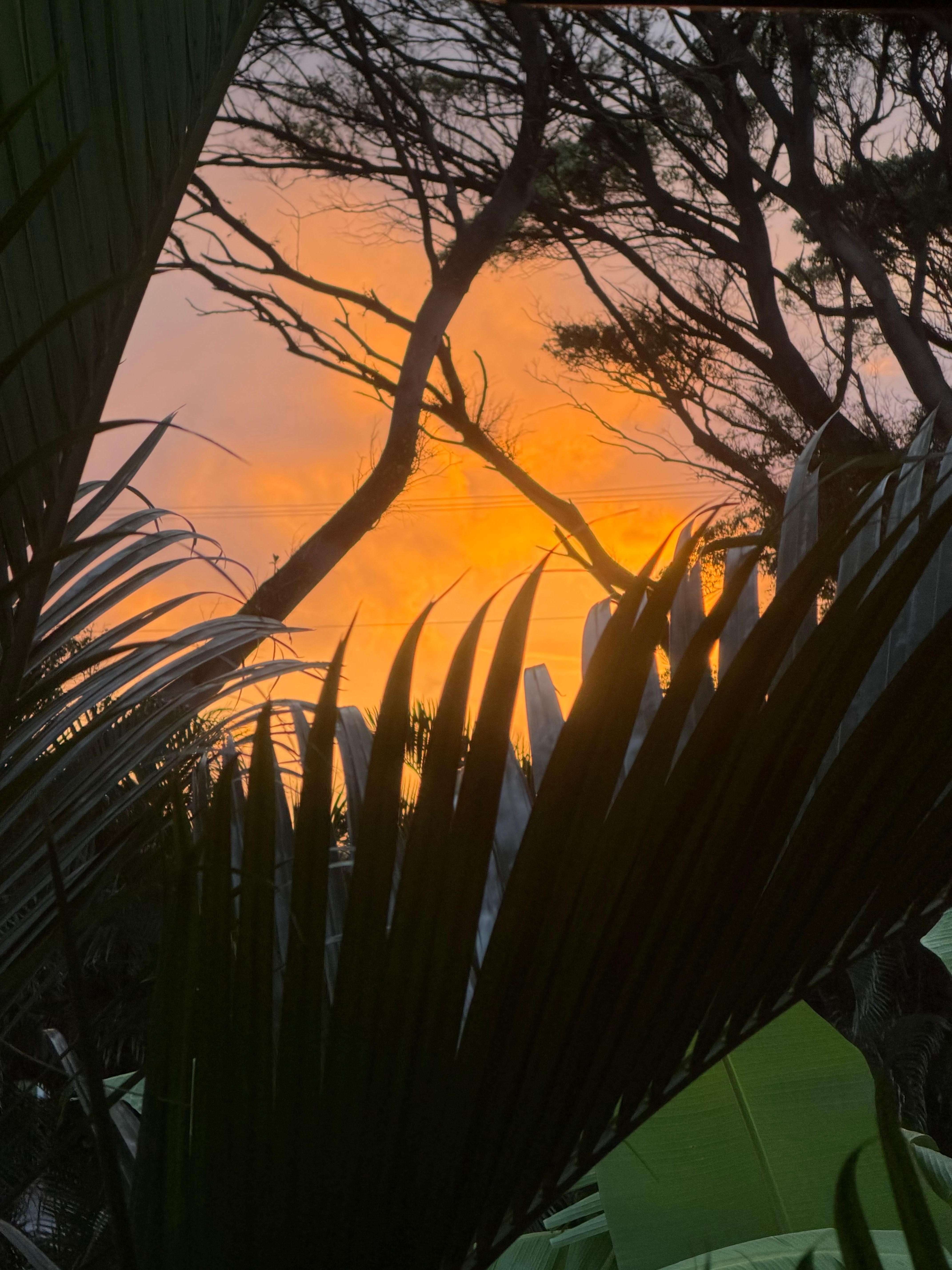 Sunrise from bedroom. 