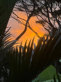 Sunrise from bedroom.