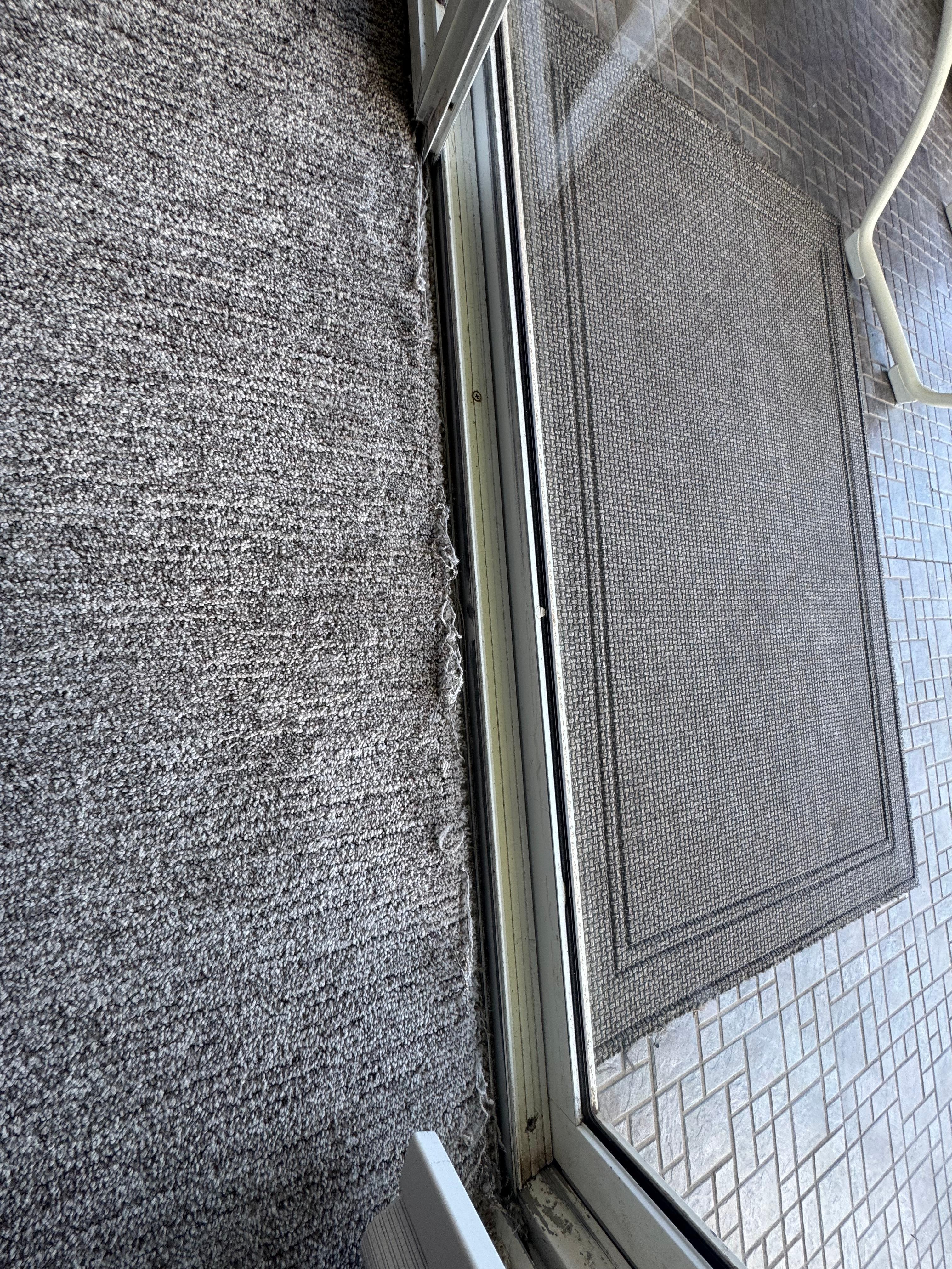 Carpet off bedroom leading to patio.