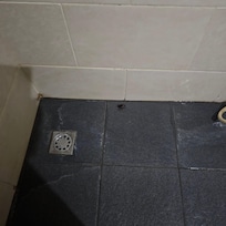ROACH. Another one dead in bathroom and they want to keep my money when Ileft thenext day.